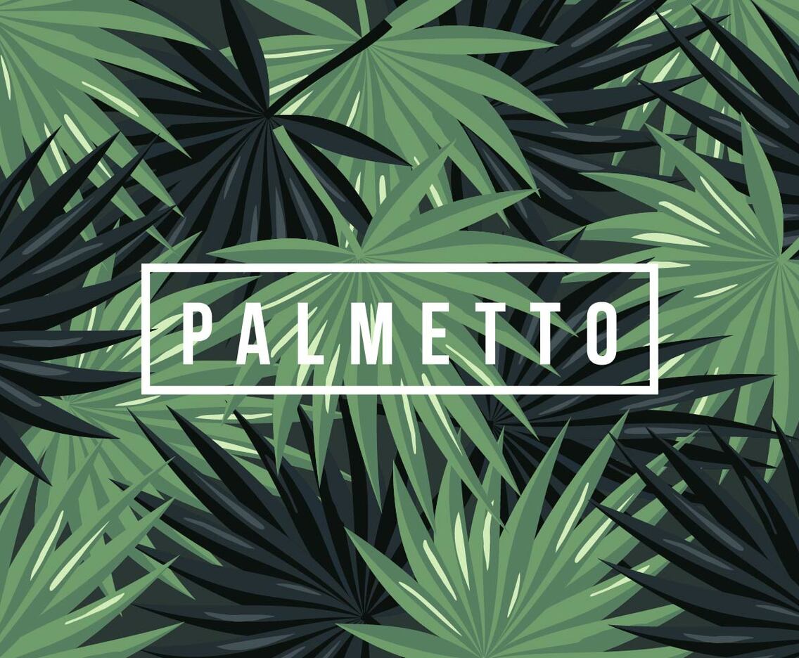 Palmetto Background