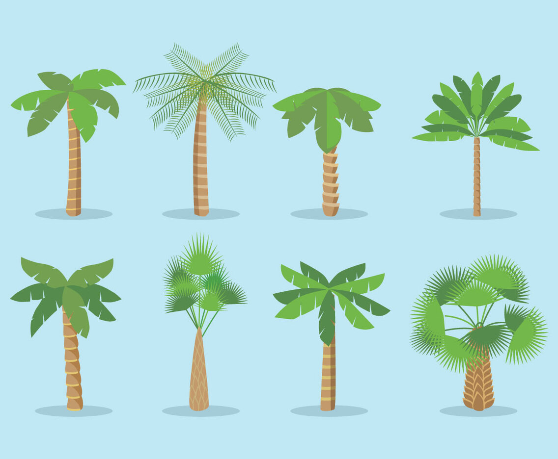 Palmetto Vector