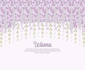 Wisteria Background