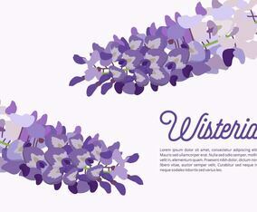 Wisteria Background