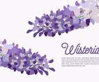 Wisteria Background