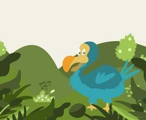 Dodo Illustration