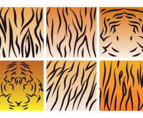 Tiger Stripe Pattern Vector