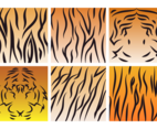 Tiger Stripe Pattern Vector
