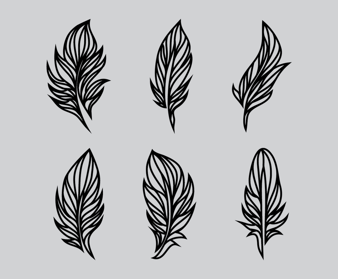 Feather Vector