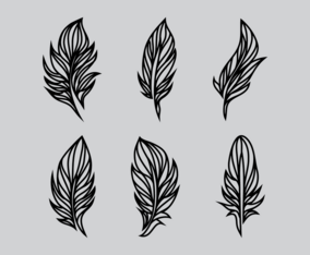 Feather Vector