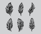Feather Vector