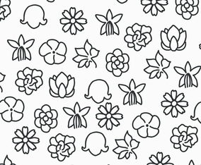 Black  White Flowers