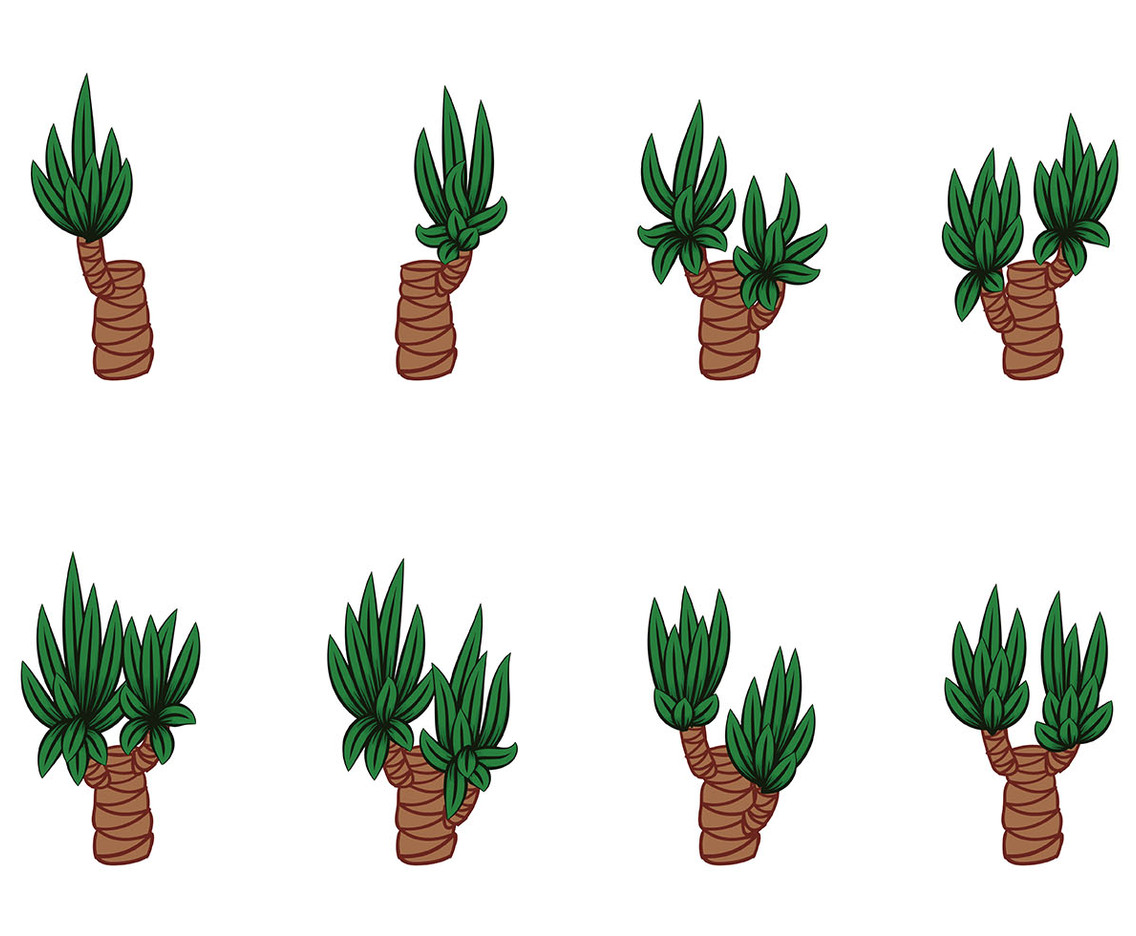 Yucca Vectors