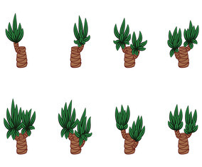 Yucca Vectors