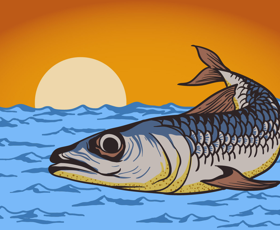 Sardine Fish Background