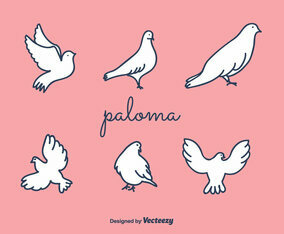 Paloma Vector
