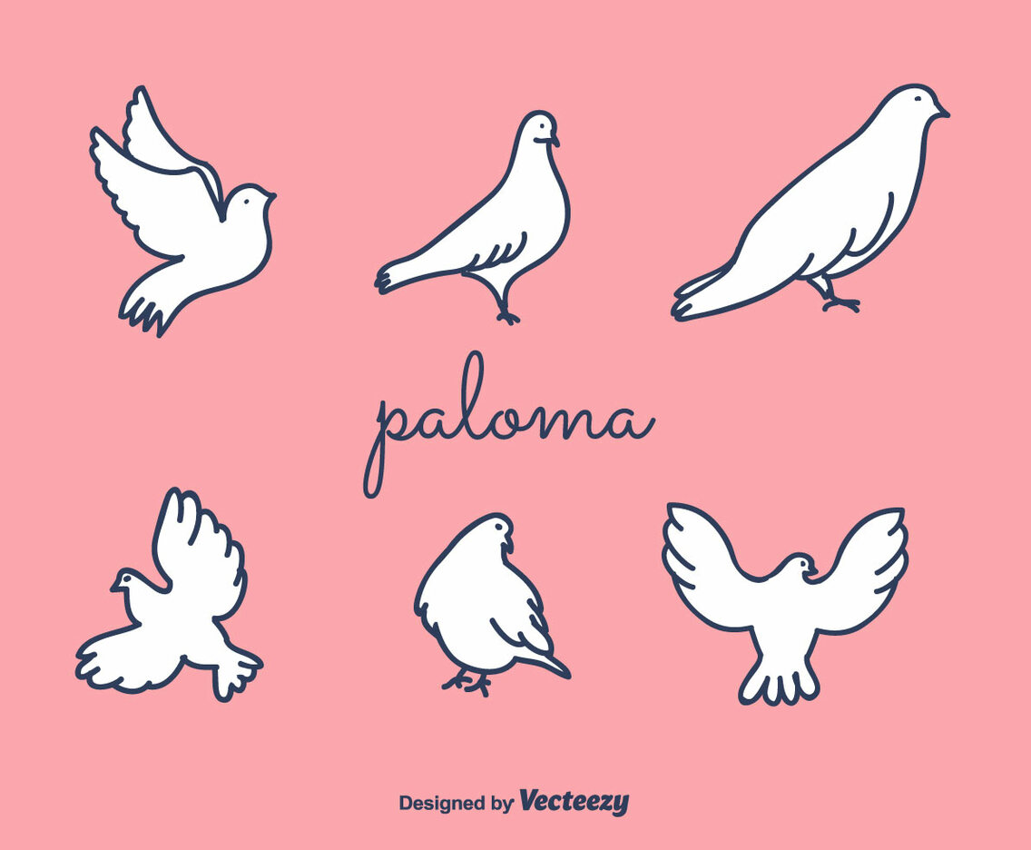 Paloma Vector