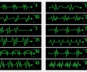 Electrical Activity Human Pulse Icon