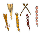 Plaits Free Vector