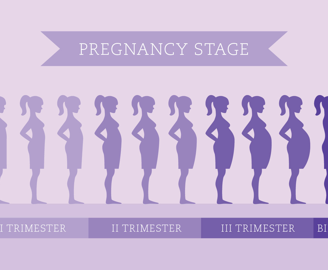 Pregnancy Stage