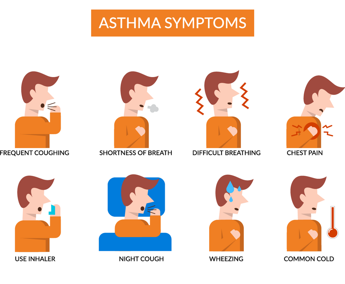 Asthma Symptoms Infograpic Vector