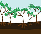 Cassava Plants Vector