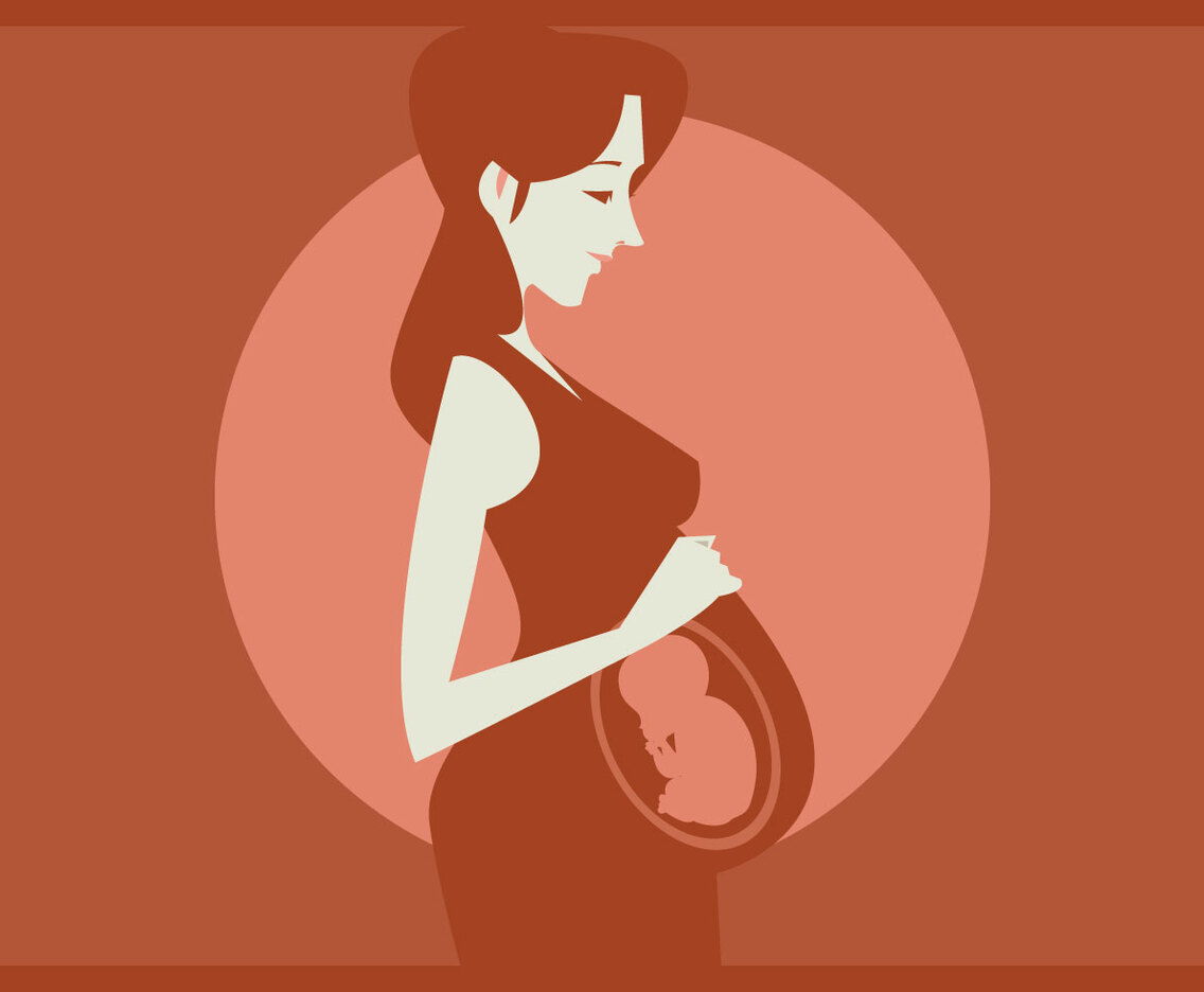 Pregnant Woman With a Baby in Her Womb Vector