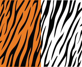 Tiger Stripe Pattern