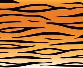 Tiger Stripe Pattern