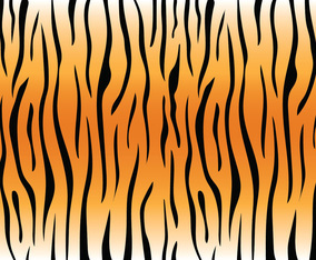 Tiger Stripe Pattern