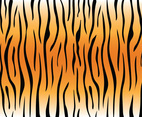 Tiger Stripe Pattern