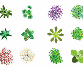 tree top view - 6276 Free Vectors to Download | FreeVectors