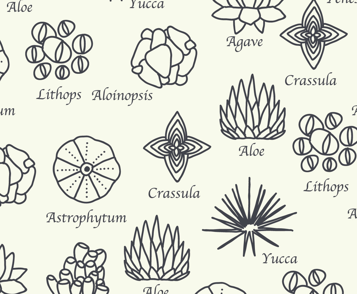 Botanical Pattern