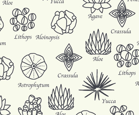 Botanical Pattern