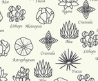Botanical Pattern