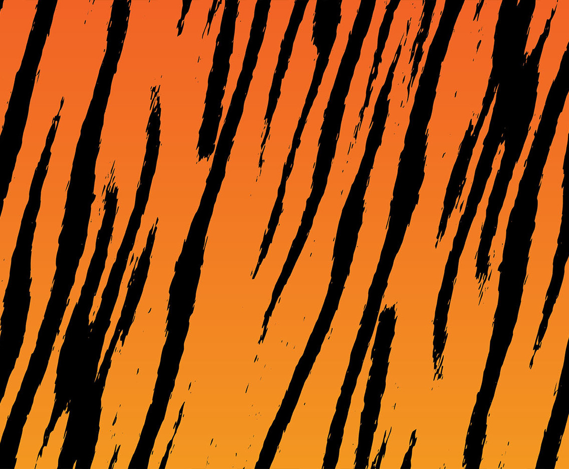 Tiger Stripe Background Vector