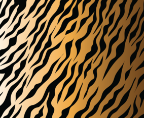Tiger Stripes vector