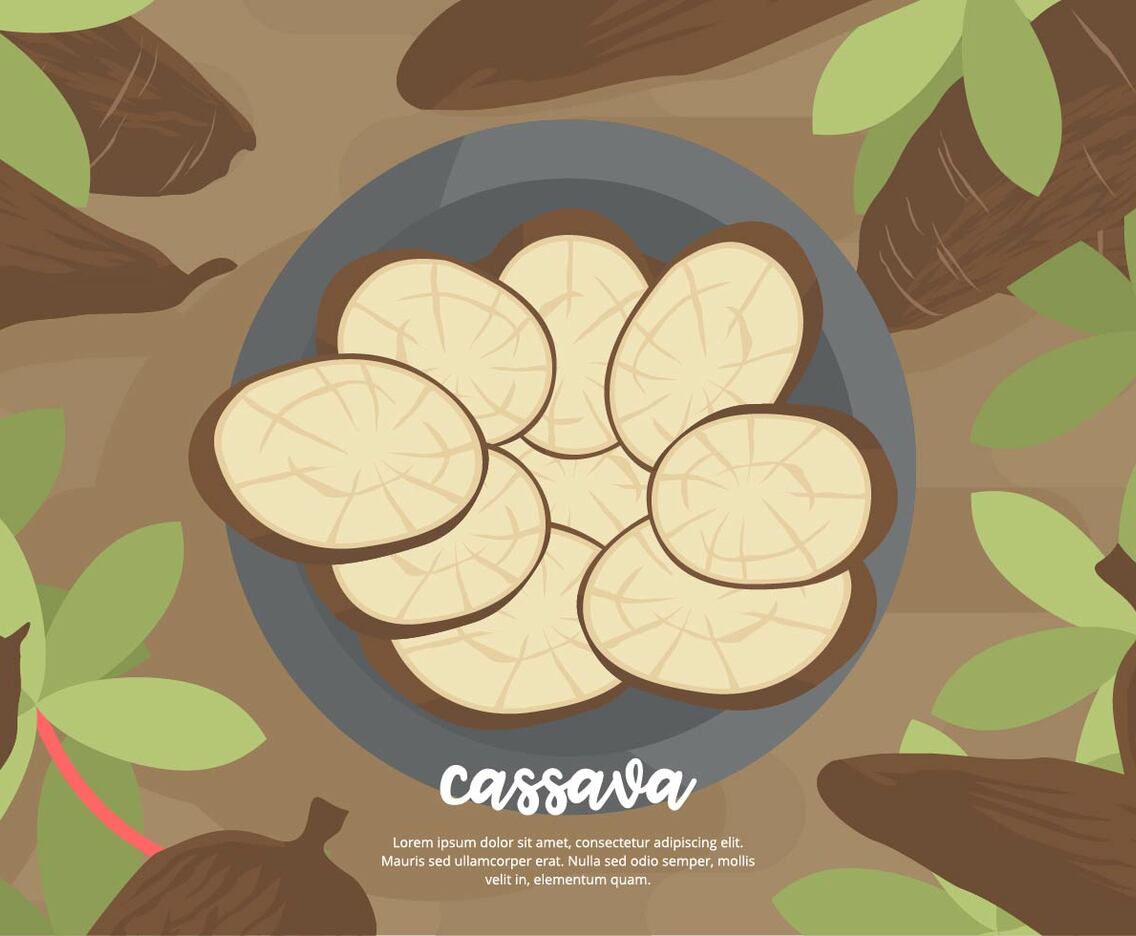Cassava Background