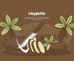 Cassava Background