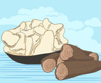 Vector Of Cassava Root With Cassava Crackers