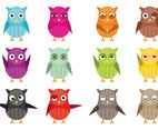 Owl Vector Character Vector Pack