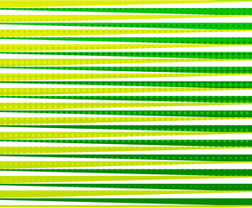 Vector Colorful Pattern Background