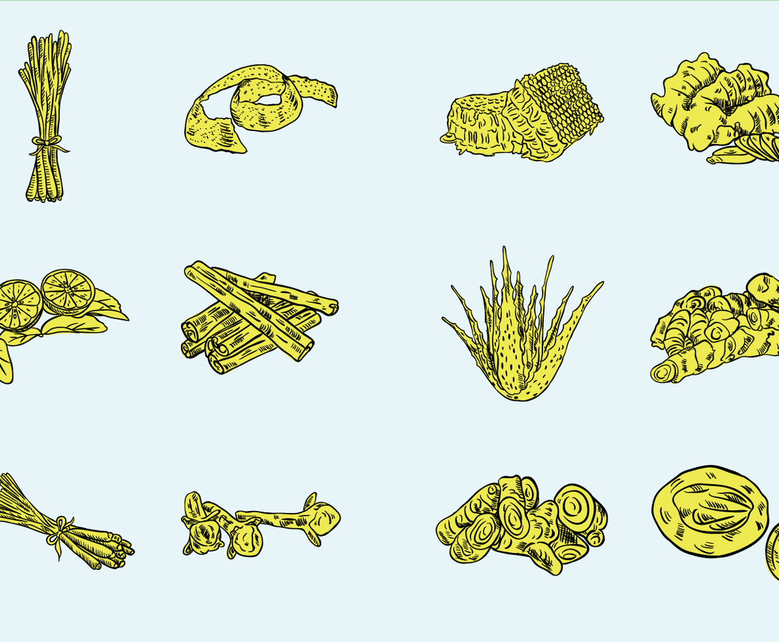 Herb And Spices Vector