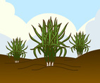 Wild Lemongrass Plant Vector