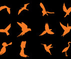 Flying Bird Silhouette Vectors