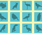 Silhouette Of Birds Vectors