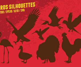 Birds Silhouettes