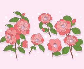 Camellia Vector
