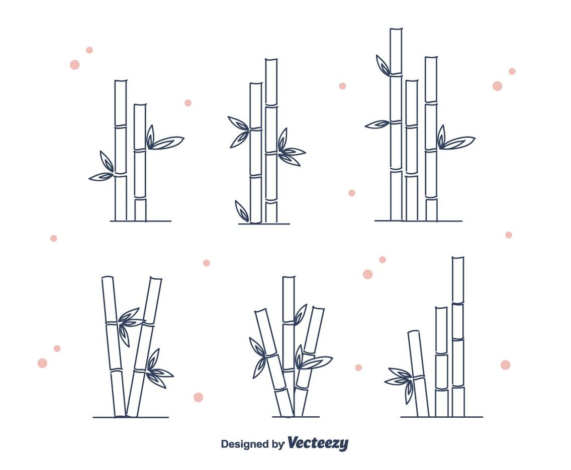 Bamboo Vector