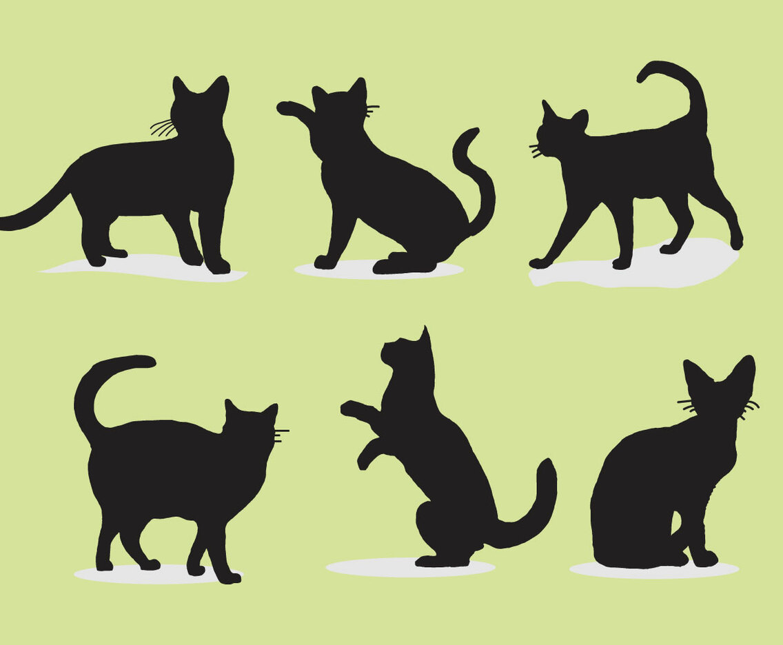 Cat Siluetas Vector Illustration