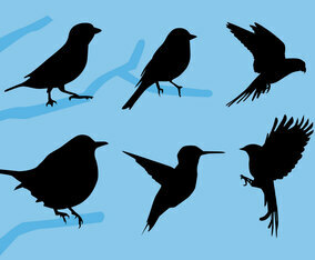 Bird Siluetas Vector Illustration