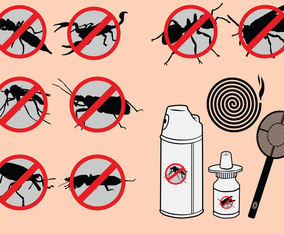Pest and insect control icons set