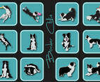 Border Collie Icon