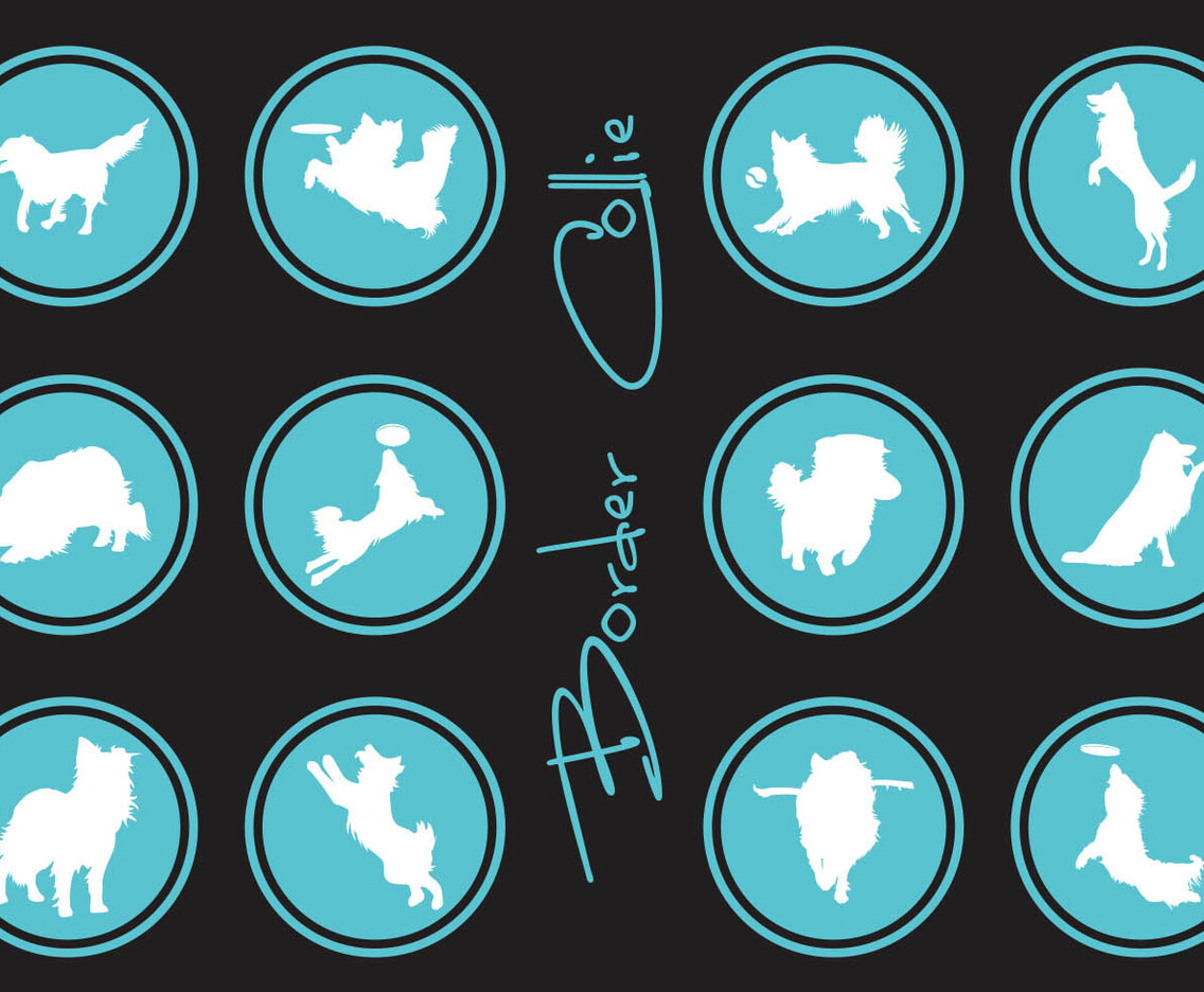 Silhouette Of Border Collie